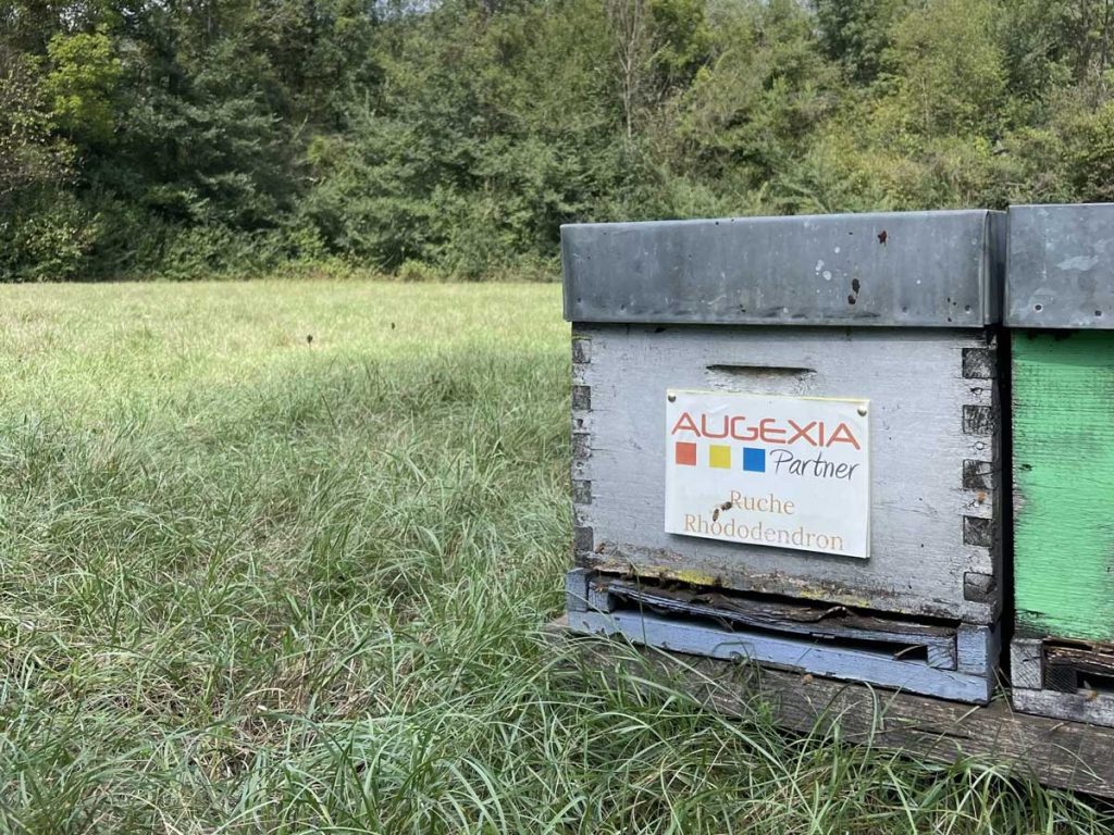 Augexia Partner : entrepreneur engagé
